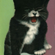 Illustration for article titled Suffragette Cats Are the Original Cat Ladies